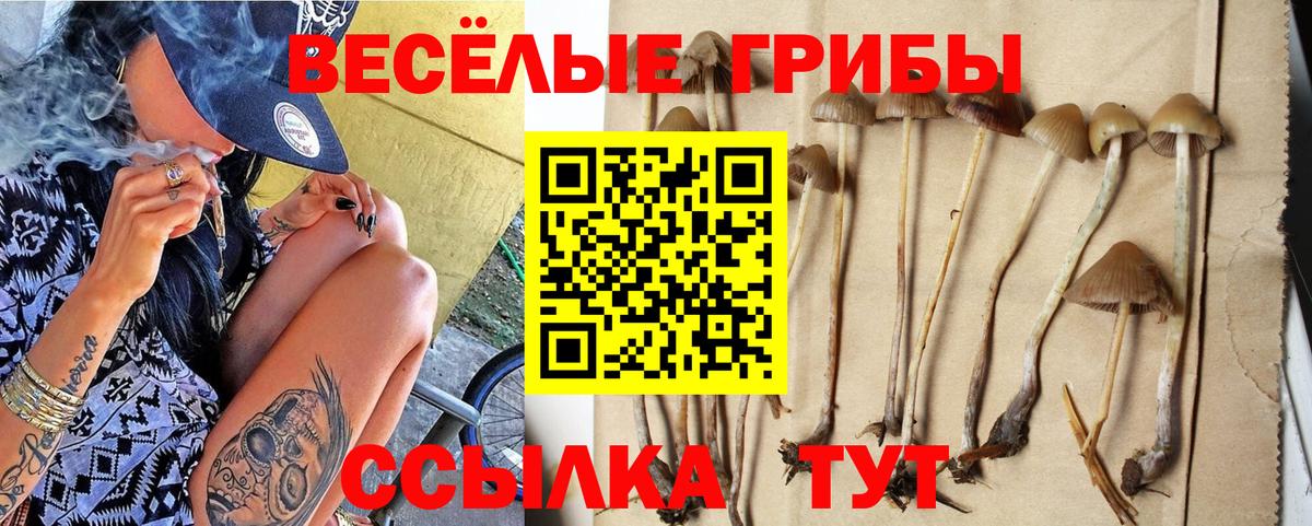 Псилоцибиновые грибы прущие грибы  Вход с VPN  Трёхгорный  Галлюциногенные грибы ЛСД 